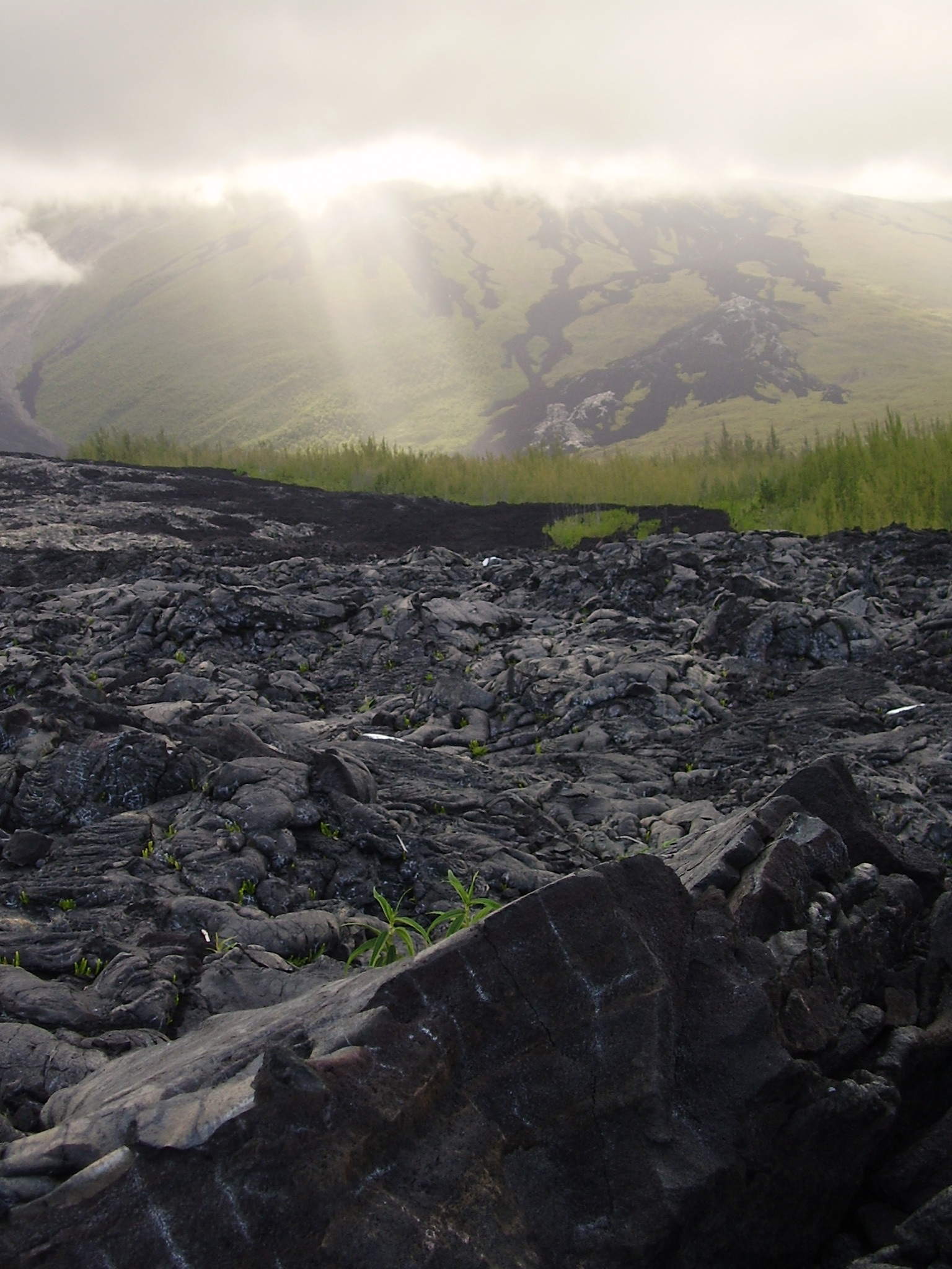 Coulée-de-lave-Ile-de-la-Réunion.jpg