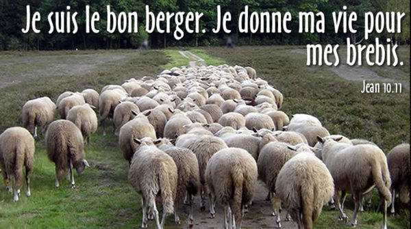 4ième-dimanche-de-paques2.jpg