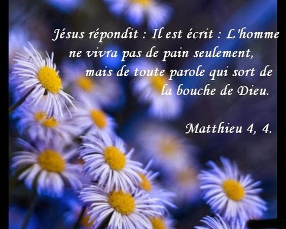 lhomme-ne-vivra-pas-seulement-de-pain.jpg