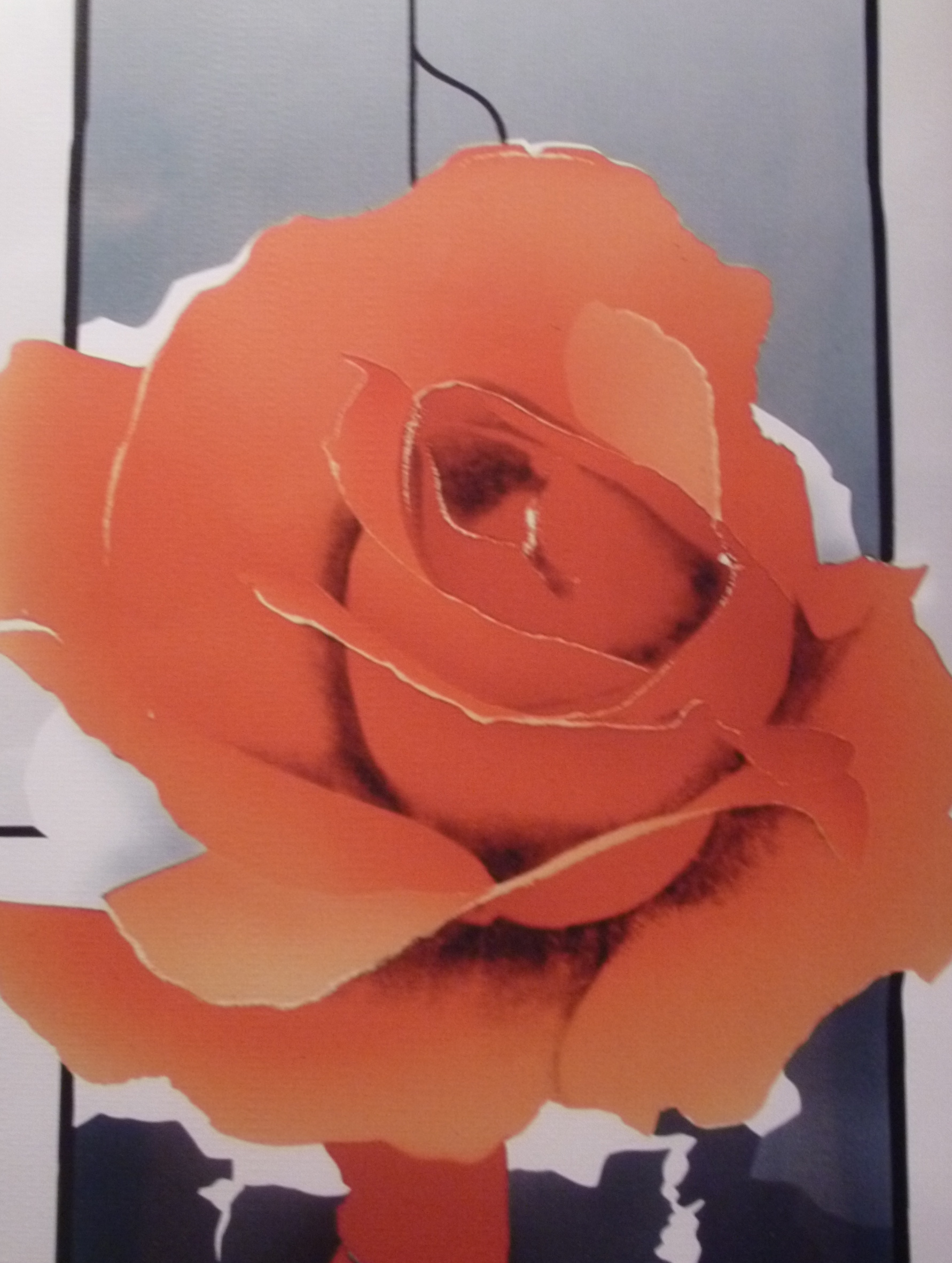 ROSE-AMOUR-Musée-du-Vitrail-à-Chartres.jpg