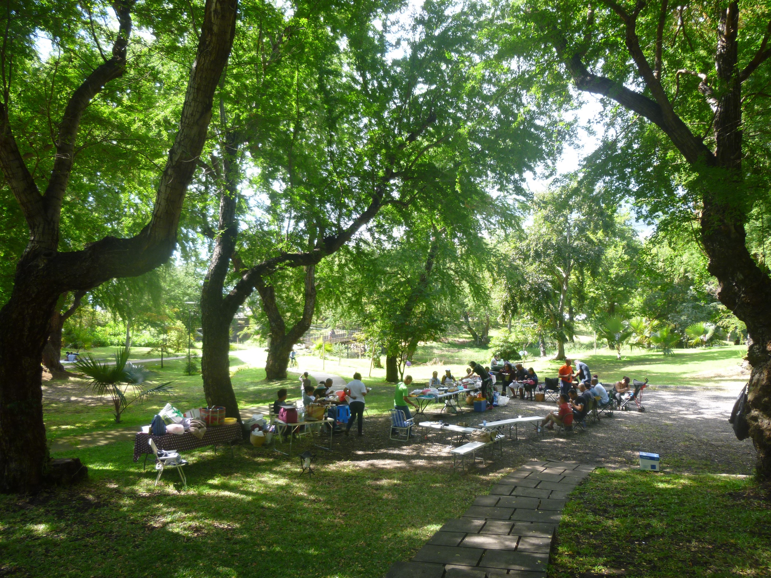P1100091.jpg