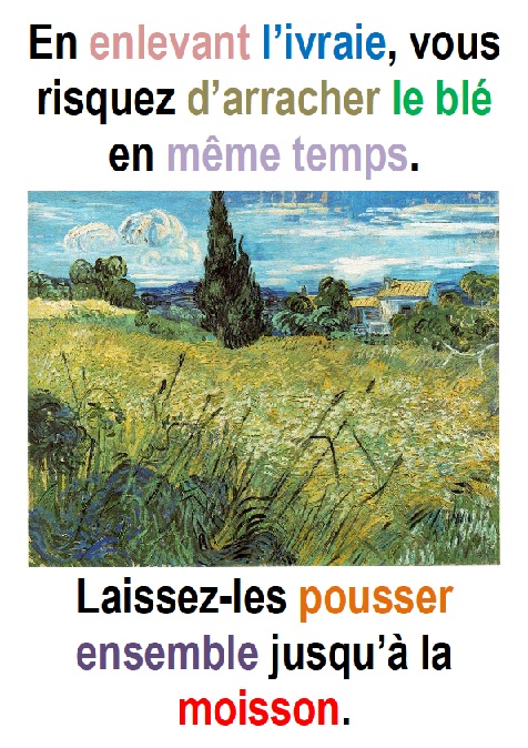 Parole-evangile-semaine-20-29.jpg