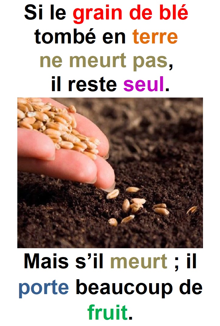Parole-evangile-semaine-21-12.jpg