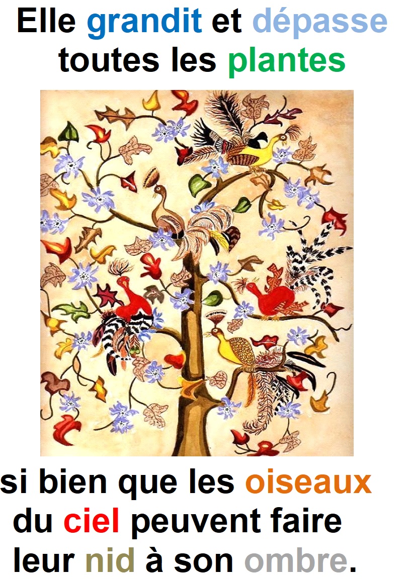 Parole-evangile-semaine-21-24.jpg
