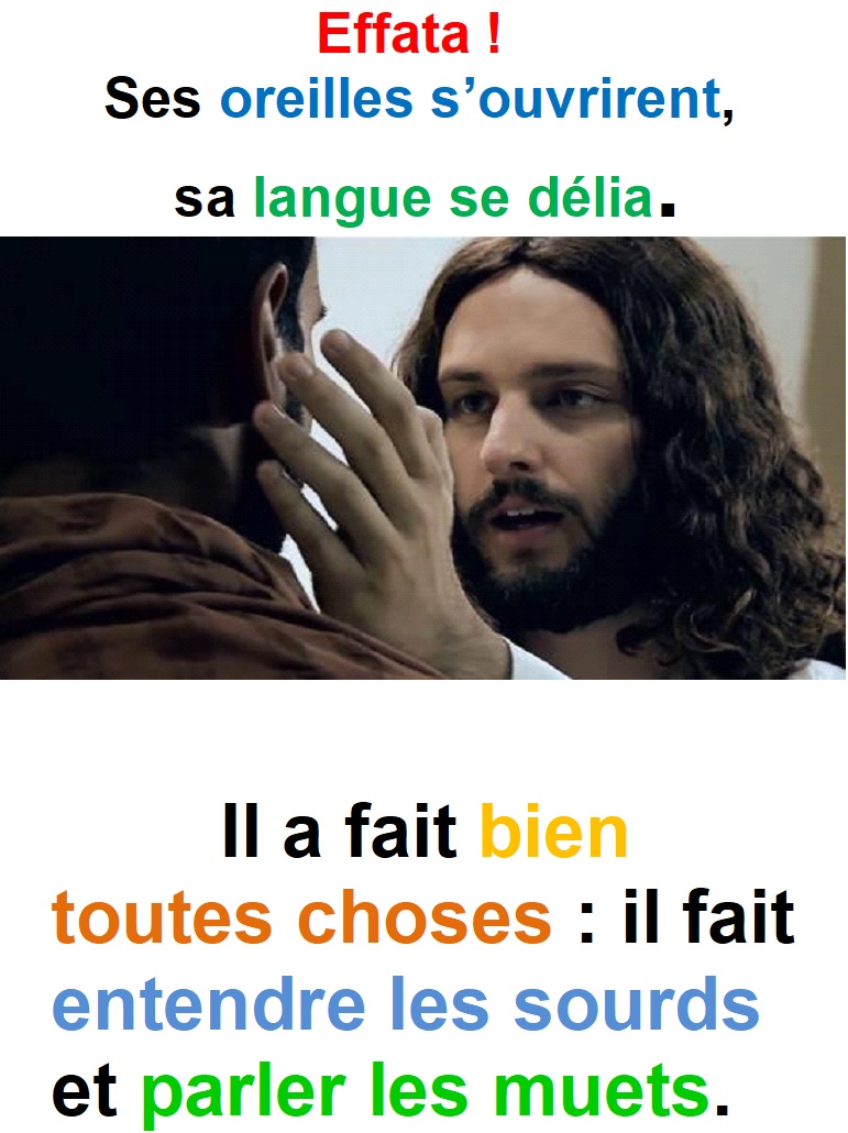 Parole-evangile-semaine-21-36.jpg