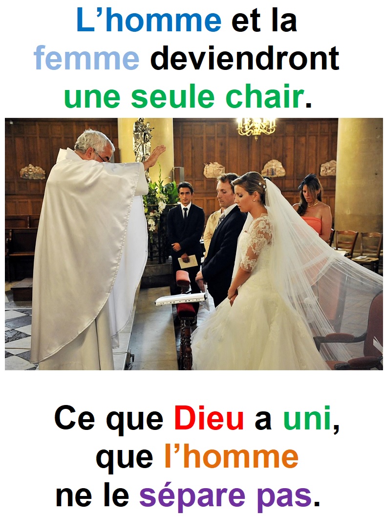 Parole-evangile-semaine-21-40.jpg