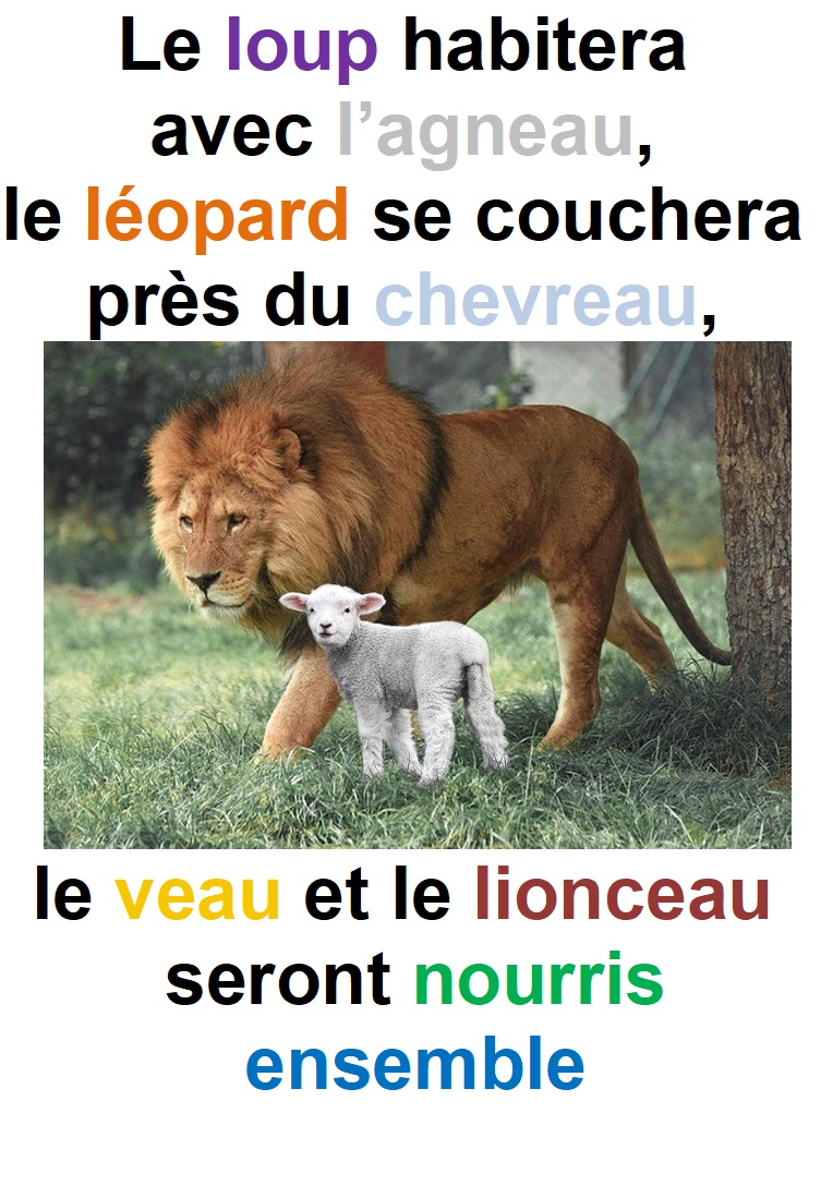 Parole-evangile-semaine-22-49.jpg