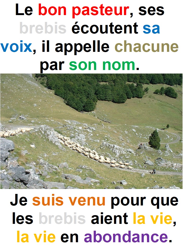 Parole-evangile-semaine-23-18.jpg
