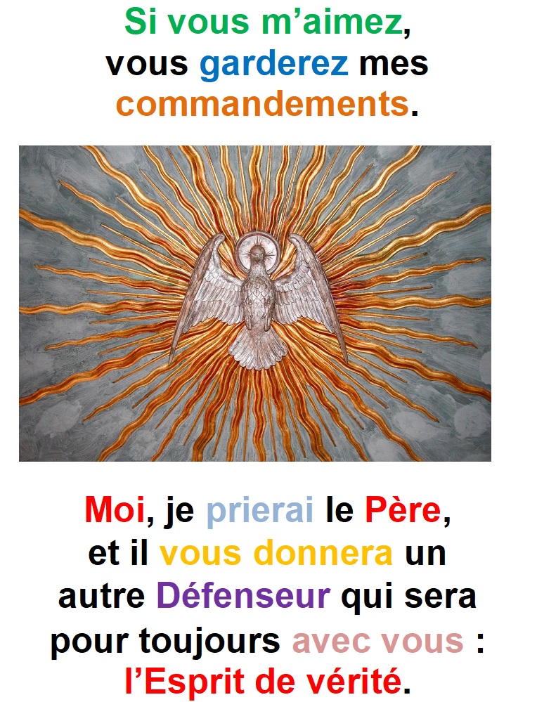 Parole-evangile-semaine-23-20.jpg