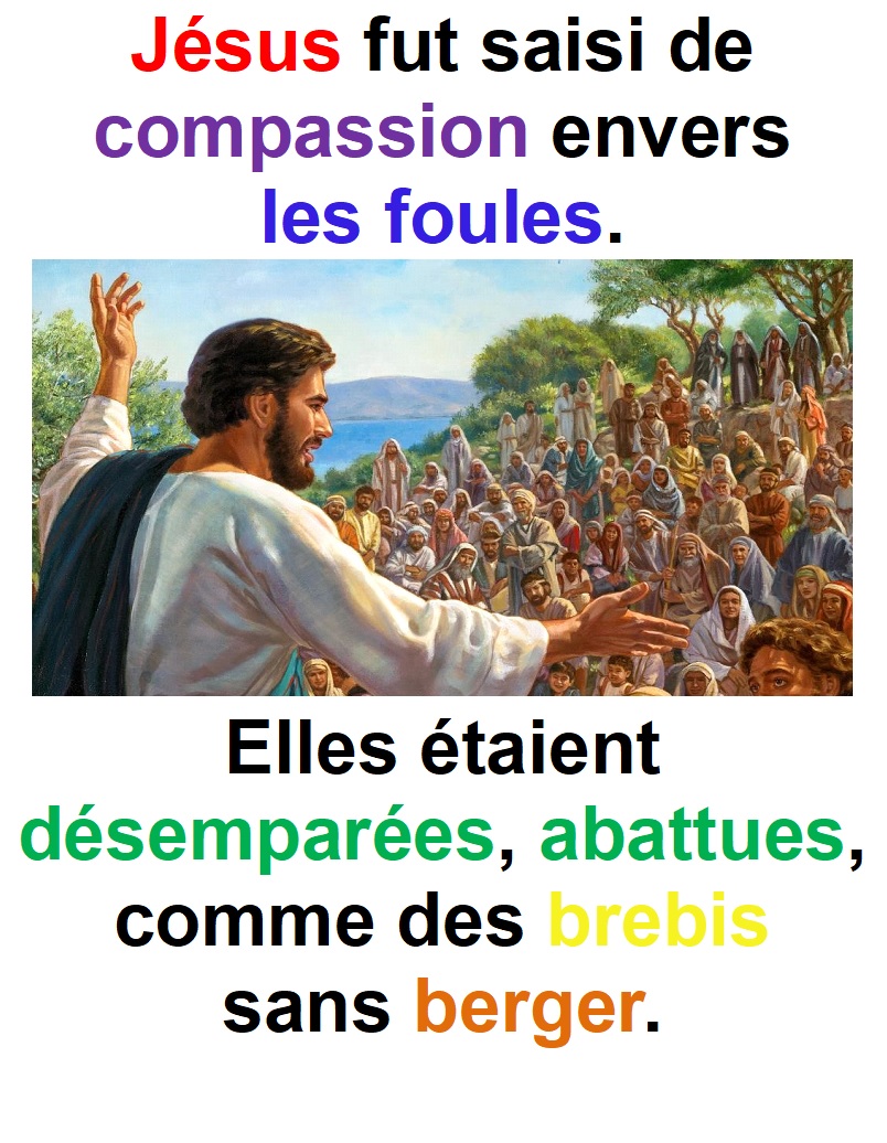 Parole-evangile-semaine-23-25.jpg