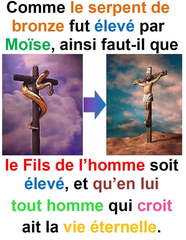 Parole-evangile-semaine-24-11.jpg