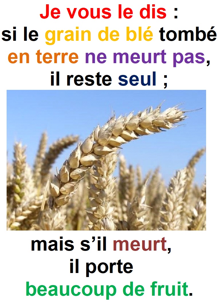 Parole-evangile-semaine-24-12.jpg