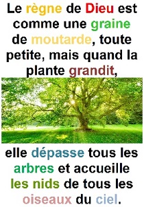 Parole-evangile-semaine-24-26-1.jpg