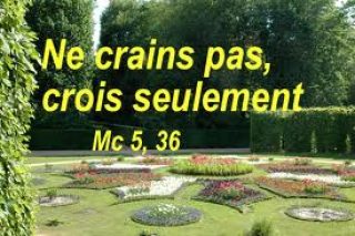 13ième-Dimanche-temps-ordinaire.jpg