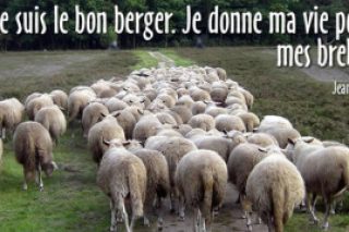 4ième-dimanche-de-paques2.jpg