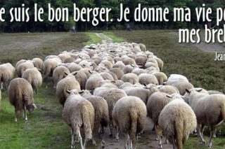 4ième-dimanche-de-paques2.jpg