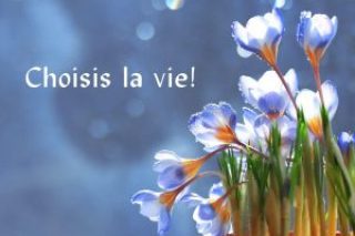 Choisis-la-vie-.jpg