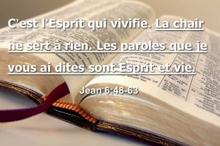 Esprit-qui-vivifie.jpg