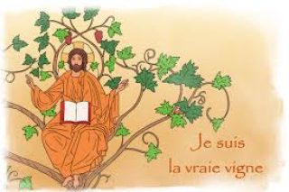 Je-suis-la-vraie-vigne.jpg