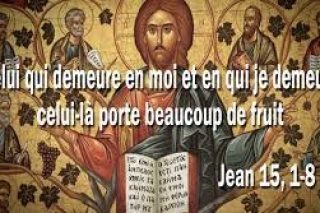 Jean-15-1-8.jpg