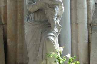 P1000737.jpg
