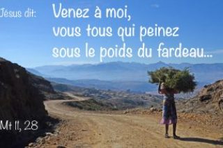 POIDS-DU-FARDEAU.jpg