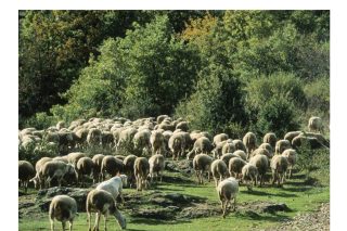 Parole-dévangile-semaine-18-29.pdf