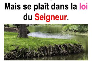 Parole-dévangile-semaine-19-07.pdf