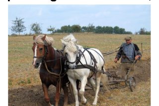 Parole-dévangile-semaine-19-26.pdf