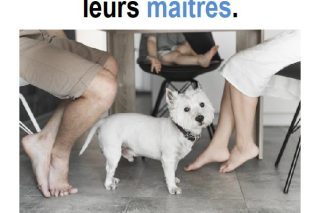 Parole-evangile-semaine-20-33.jpg