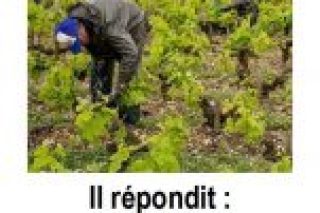 Parole-evangile-semaine-20-39.jpg