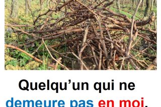 Parole-evangile-semaine-21-18.jpg
