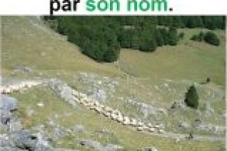 Parole-evangile-semaine-23-18.jpg