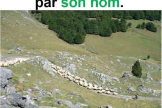 Parole-evangile-semaine-23-18.jpg