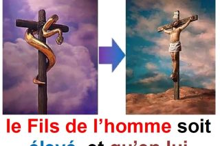 Parole-evangile-semaine-24-11.jpg