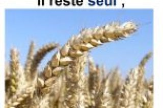Parole-evangile-semaine-24-12.jpg