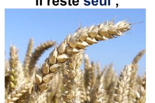 Parole-evangile-semaine-24-12.jpg