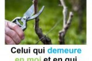 Parole-evangile-semaine-24-18.jpg