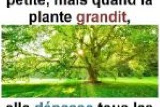Parole-evangile-semaine-24-26-1.jpg