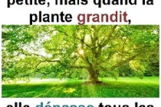 Parole-evangile-semaine-24-26-1.jpg