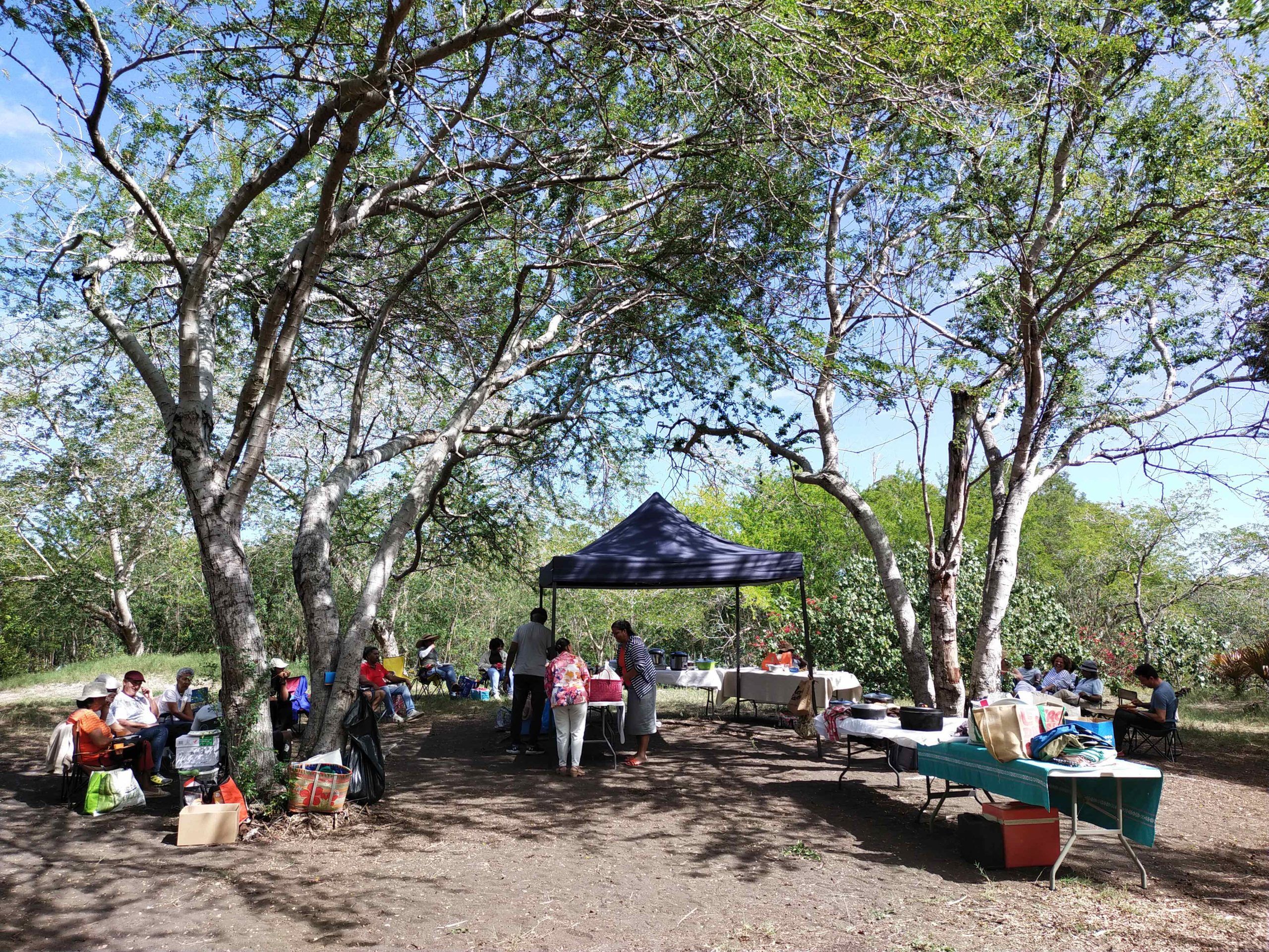 Picnic-detente-CL-2026-2-scaled.jpg