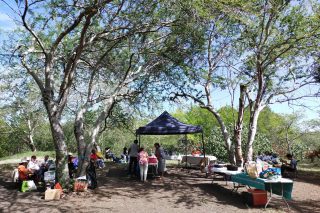 Picnic-detente-CL-2026-2-scaled.jpg