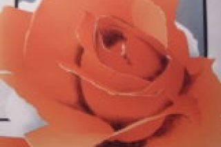ROSE-AMOUR-Musée-du-Vitrail-à-Chartres.jpg