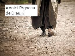 VOICI-LAGNEAU-DE-DIEU.jpg