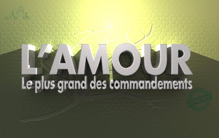 amour1.jpg