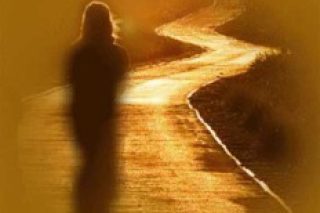 chemin_eclaire.jpg