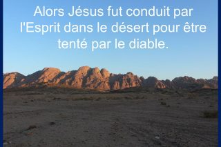 désert1.jpg