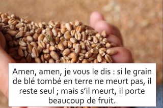grain-de-blé.jpg