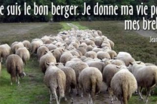 je-suis-le-bon-berger.jpg