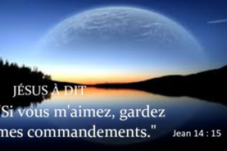 jean-14-15.png